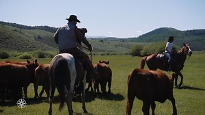 A dude ranch vacation is a great way to get away from the stress and noise of the city. "Undiscovered America TV" recently highlighted the fun of Western-style getaways, showing guests enjoying all that C Lazy U has to offer. Watch the video here, and then saddle up for an amazing journey. | C Lazy U Ranch
