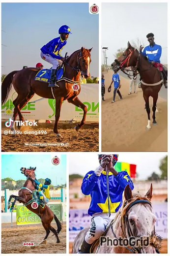 Fallou Dieng (@fallou.dieng496)’s videos with son original - fall taximane vip