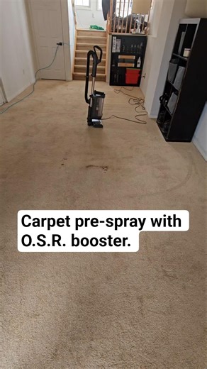Carpet Cleaning pet stain removal