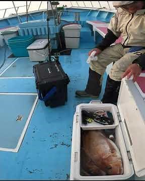【神回】一人だけ8枚も釣る「竿頭」に突撃取材！激流を制した驚きの攻略法とは？【一つテンヤ真鯛】 #fishing #釣り