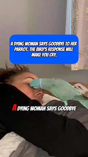 A dying woman says goodbye to her parrot. The bird's response will make you cry. #parrot #woman #animal #emotional #sadstory | DW Stories Thre
