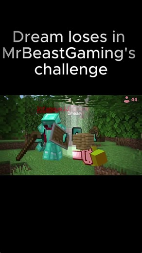Dream loses in MrBeastGaming challenge #minecraft #gaming #dream #lyrics #shorts #fyp #reels #memes