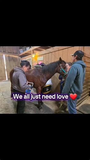 Sophia has been with us since 2018, coming from the Equine Rescue League, where she was taken in as an animal cruelty seizure. She has endured much in her life, including neglect, abuse, and health challenges. Since her arrival here, she has blossomed 🌸 into a favorite member of our outreach team. 2 years ago, Sophia needed a surgical removal of a large, rapidly ground sarcoid tumor and a subsequent intensive rehabilitation. Just when all seemed right, a run-in with a herd mate and a post cause