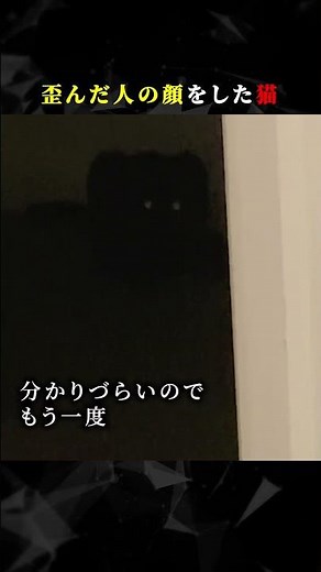 ゆがんだ人の顔をした猫 #ホラー #怖い #心霊 #幽霊