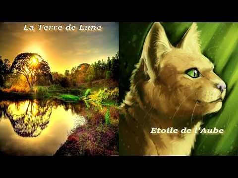 Mon Histoire LGDC - La Vie d'Etoile d'Hibiscus - Partie 3