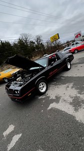 200K views · 6.8K reactions | 1985 Chevrolet Monte Carlo SS $14,900 MapleMotors.com #2792 https://youtu.be/BiQkWlAFlnc #monte #carlo #ss #supersport #v8 #rides #forsale #1985 #85 #usa #dealer #rides #chevrolet | Maple Motors | Facebook