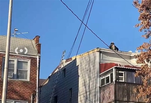 One critically injured as fire breaks out in Queens home: FDNY