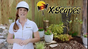 Amazon.com : Backyard X-Scapes Artificial Thatch Roofing Panel Synthetic Palapa Thatch Roof for Tiki Bar Huts Tiki Straw Roof 30 1/2" L x 24" H (5-Pack) : Tools & Home Improvement