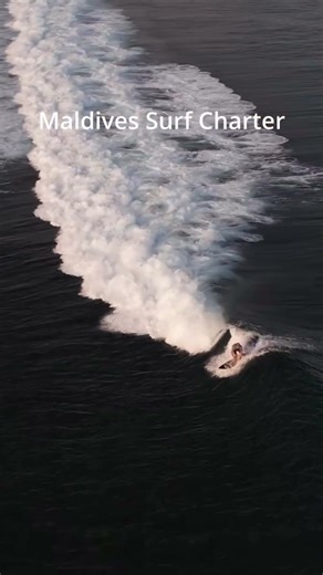 Maldives Boat trip… who’s in?