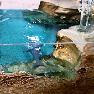 676K views · 10K reactions | Making an epoxy ocean night lamp | Crafty Panda | Facebook