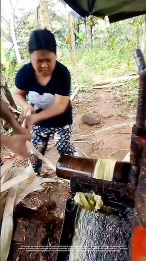 Harnessing Machinery: How Farmers Transform Crops in the Field