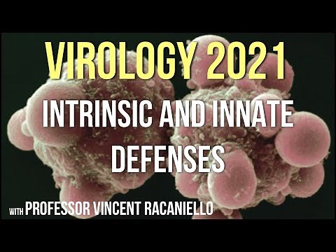 Virology Lectures 2021 #13 - Intrinsic and Innate Defenses