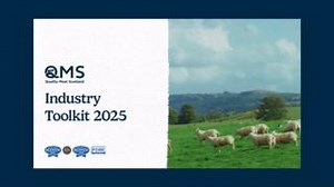 3 comments |  Get Ready for 2025 with the January Toolkit!  Our...