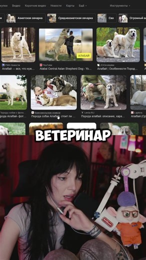 История о алабае и приключениях в деревне