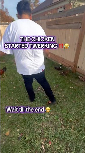 The chicken started Twerking #chicken #twerking #funny