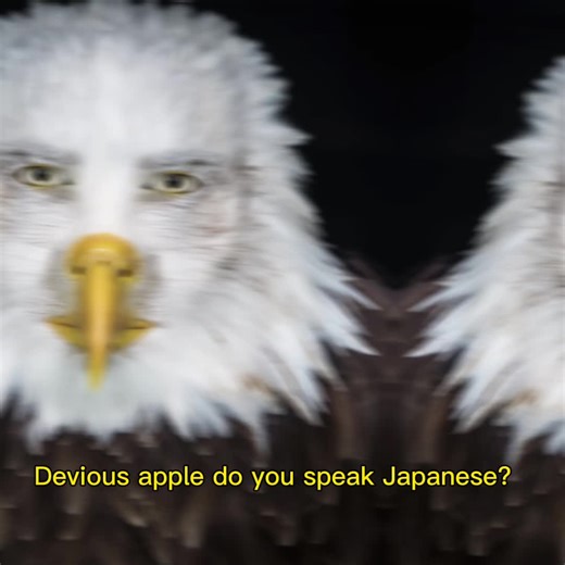 Goofy Ahh Eagle Meme Template