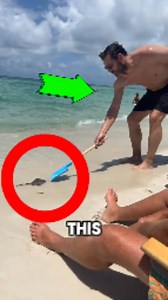 37K views · 1.5K reactions | Poisonous stingray that got him in trouble | Indian Army | Facebook