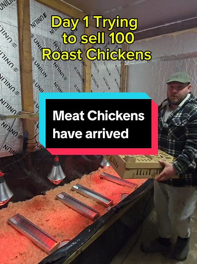 Starting a Meat Chicken Farming Journey on Day 1