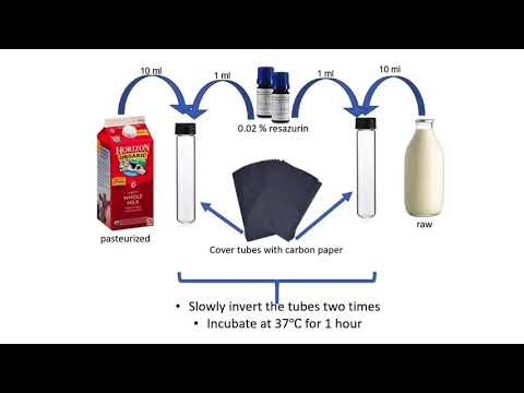 Resazurin Reduction Test