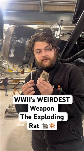 WWII’s WEIRDEST Weapon | The Exploding Rat 🐀💥