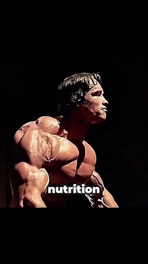 Cerberus - Formation Musculation