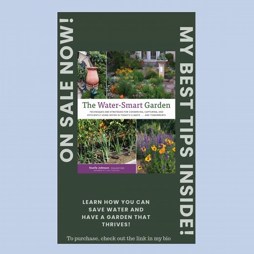 Grab your copy here: https://www.azplantlady.com/book #thewatersmartgarden #waterconservation #savingwater #rainbarrel #riverrockwashes #rainrunoffsolutions | AZ Plant Lady | Facebook