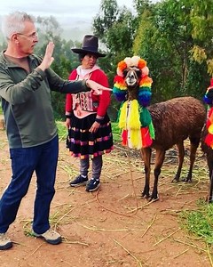 73K views · 824 reactions | Meet two Deaf Peruvian women and learn about three of their llamas. Although there are language differences, international sign makes it easier for Deaf people around the world to exchange information! #deaftours #handsontravel #peru #llama #culture #educational #schooltour #deafschool | Hands On Travel | Facebook
