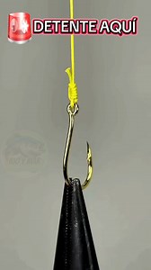 Aprendé este nudo en 15 segundos 🎯 Fácil, rápido y súper útil para tus jornadas de pesca. 👆 Guardá el video y seguinos para más tutoriales. #rioymararticulosdepesca #fishing #pesca #FishingLife #PescaArgentina #paratiiiiiiiiiiiiiiiiiiiiiiiiiiiiiii #fyp #fishinglife #vida #naturaleza #pescadores #pescadeportiva #aegentina🇦🇷 | Rio y Mar Artículos de Pesca