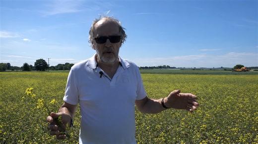 Why Modern Farming Is Facing A Financial Crisis?