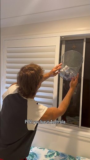 Questionable choice of trap 🗑️#huntsman #australia #nightmare