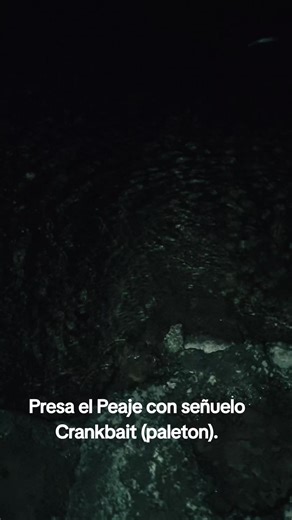 Videos de Tunitas Bass (@tunitas.bass) con “sonido original - Tunitas Bass”