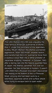 THE FINAL FATE OF USS WAHOO ⚓ #USSWahoo #MushMorton #SubmarineWarfare #WWIIHistory #LaPerouseStrait #SeaOfJapan #USNaval #NavalHistory #WWII #fblifestyle | Gist of History