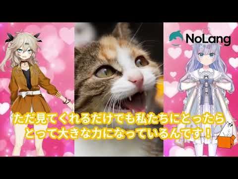 感謝です♡いつもありがとうございます！