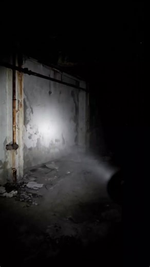 Exploring Abandoned Creatures Created by AI