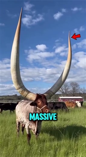 These Horns Are INSANE 😳 (You’d Run Instantly!)