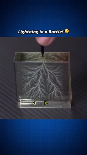 Trapping Lightning Inside a Bottle? 🤯 #lichtenbergfigure