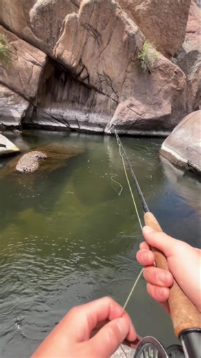 This Rainbow Trout Fight Was Worth It 😮