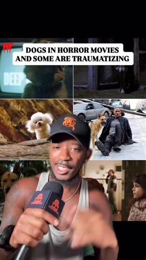 Watchreelflix🎬 | Dogs in horror movies which one is your favorite or which one traumatized you?! 🐶🐕🐾😳😱 #dogs #dogsinhorrormovies #horror #horrormovie... | Instagram