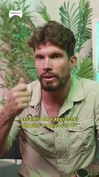 Une Bière Avant De Partir ? #sonsoftheforest #reaction #gaming