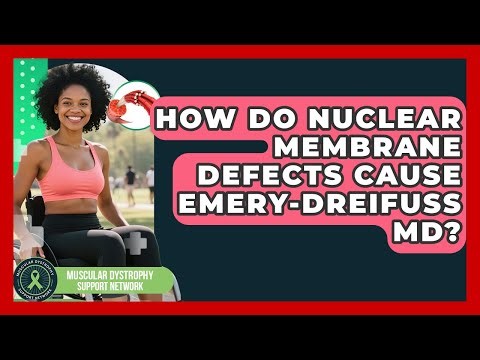 How Do Nuclear Membrane Defects Cause Emery-Dreifuss MD? - Muscular Dystrophy Support Network