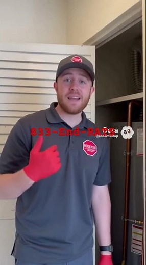 Rodent clean up near me ￼