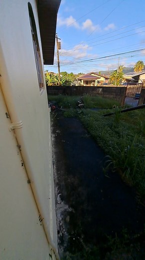 14 reactions · 40 shares | FOR ALL YOUR PRESSURE WASHING NEEDS !...