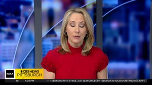 Lawsuit against Center Township, officer settled for $950K in death of man pushed trying to help sho