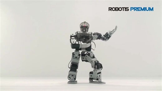 ROBOTIS DYNAMIXEL 选型指南