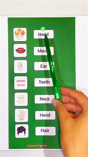 Essential English Vocabulary for Effective Communication