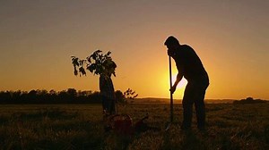 Take our poll: Before starting an outdoor spring project that requires digging, how far in advance should you call 811 for utility locates? | Evergy | Facebook