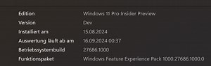 Jangan Keliru, Ini Arti Dev di Version Windows 11 Build Canary