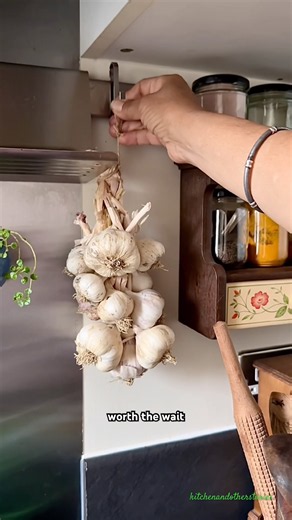 How to braid garlic #garlic #garlicbraid #braidinggarlic #gardeninglife #growyourownfood #growfood