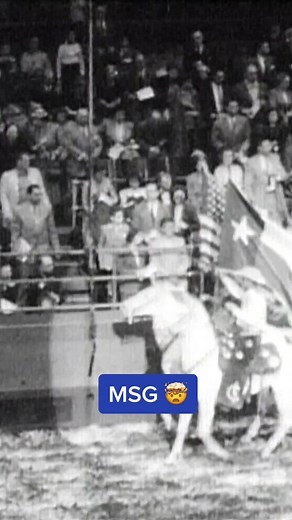 Madison Square Garden was the center of the rodeo world in 1954. #fyp #rodeo #cowboy #horse #bull #sports #western #madisonsquaregarden