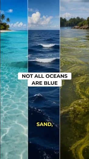 Why The Ocean Is Blue (It's Not What You Think)